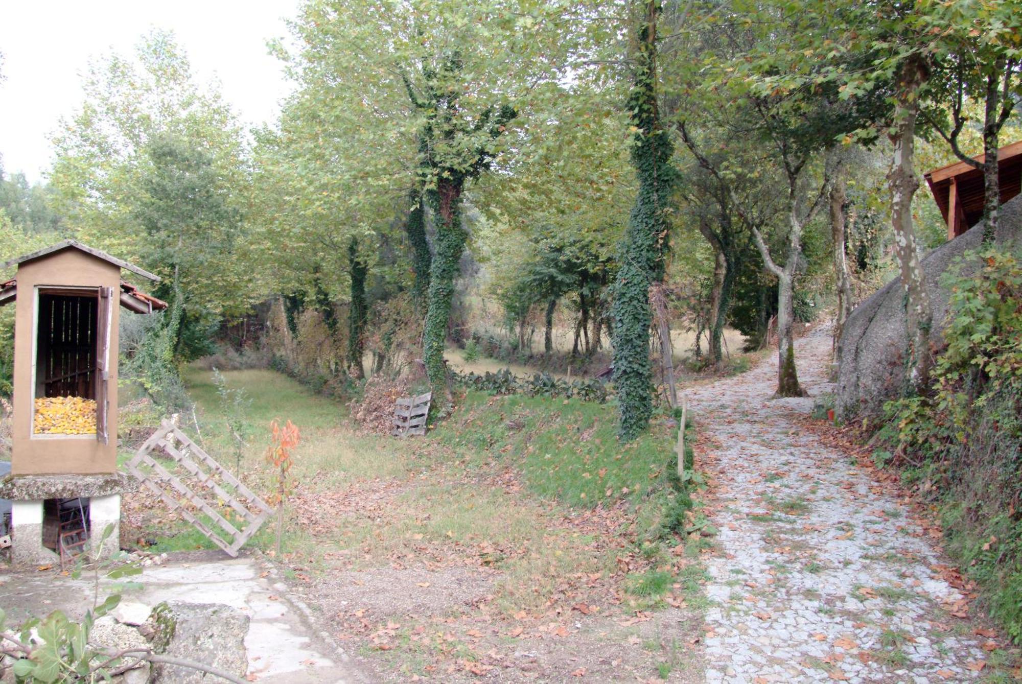 Penzion Quinta Da Veiga E Malhadoira Vieira do Minho Exteriér fotografie